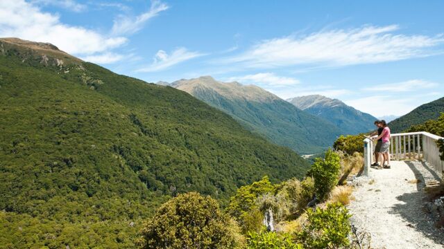 Haast Pass View
