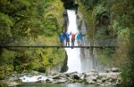 A Bridge on the Milford Track