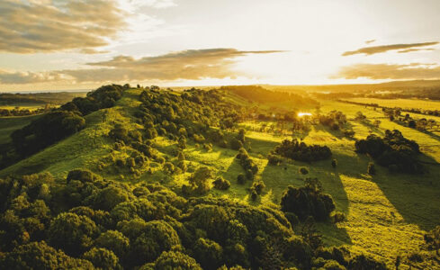 Hinterland Byron Bay