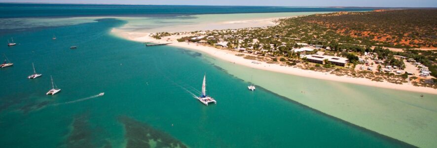 Shark Bay Monkey Mia Shark Bay Monkey Mia