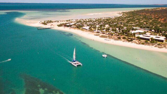 Shark Bay Monkey Mia Shark Bay Monkey Mia