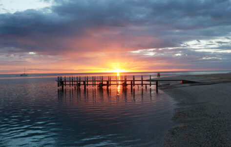 Monkey Mia Dolphin Resort Monkey Mia Dolphin Resort
