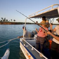 Cobourg Fishing Venture North