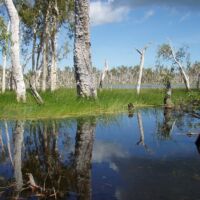 Ramsar Wetland Cobourg Peninsula