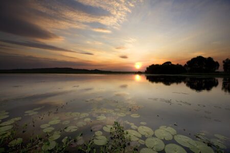 Corroboree Billabing Cruise Kakadu NP Australia