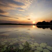Corroboree Billabing Cruise Kakadu NP Australia