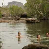 Swimming Kakadu