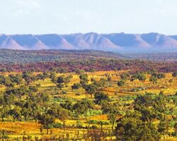 Kings Canyon to Uluru