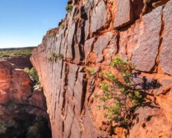 Kings Canyon Kings Canyon Australia