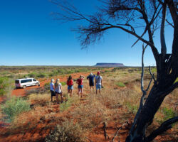 Mt. Conner 4WD Adventure