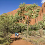 Uluru Mala Walk Uluru Mala Walk SEIT Outback Australia