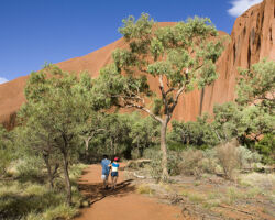 Uluru Mala Walk Uluru Mala Walk SEIT Outback Australia
