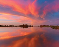 Early Morning Yellow Water Billabong