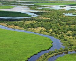 Yellow Water Billabong Aerial