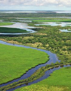 Yellow Water Billabong Aerial