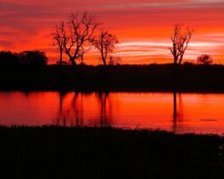 Yellow Water Cruise Sunset