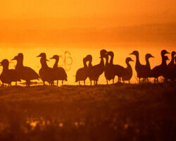 Arnhemlander Cultural & Heritage Tour Kakadu Cultural Tours
