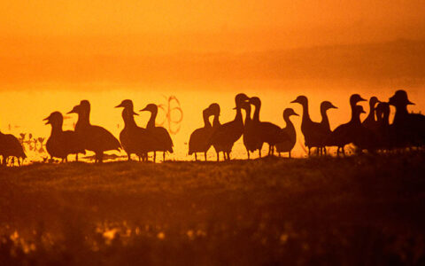 Arnhemlander Cultural & Heritage Tour Kakadu Cultural Tours
