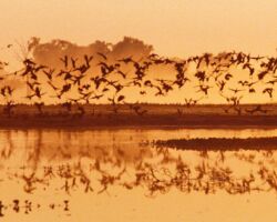 Arnhemlander Cultural & Heritage Tour Kakadu Cultural Tours