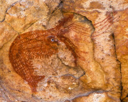 Arnhemlander Cultural & Heritage Tour Kakadu Cultural Tours