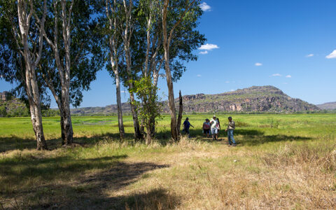 Arnhemlander Cultural & Heritage Tour Kakadu Cultural Tours