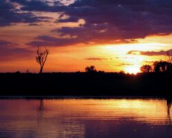 Kakadu Sunset
