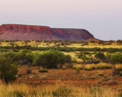 gallery-img-01 Mt. Conner