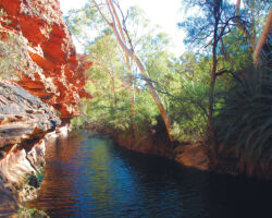 Garden of Eden, Kings Canyon