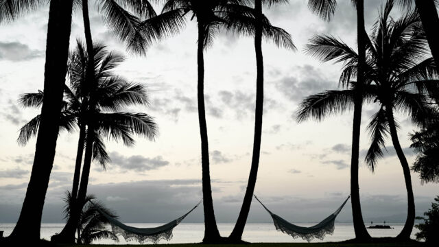 Hammocks at sunset