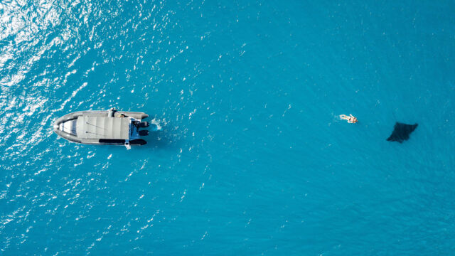 Snorkeling with manta ray
