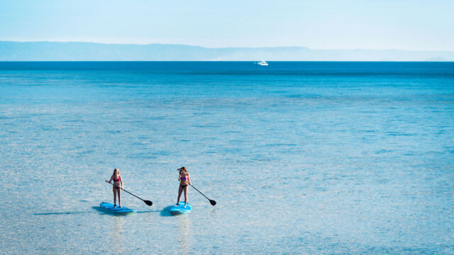 Stand up Paddleboard