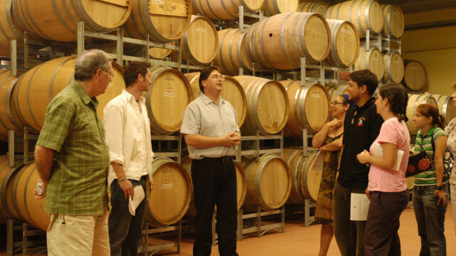 2/19/06, Hunter valley, Australia,,